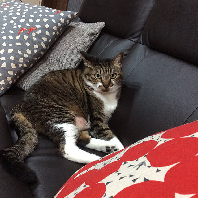 houenさんの実例写真