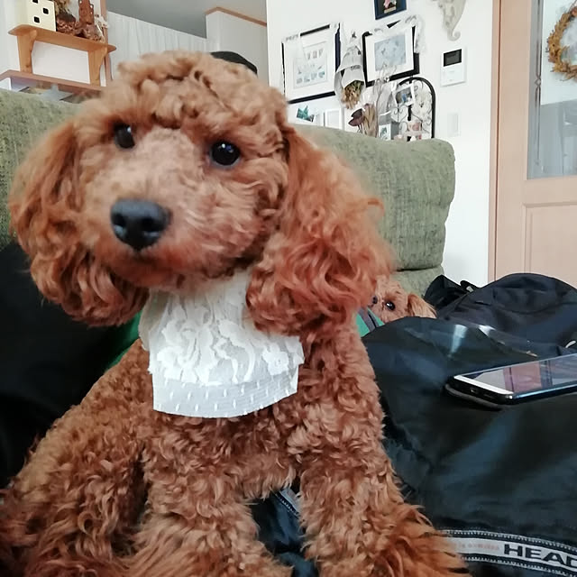 satochiさんの実例写真