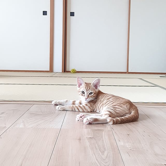 m.m.mさんの実例写真