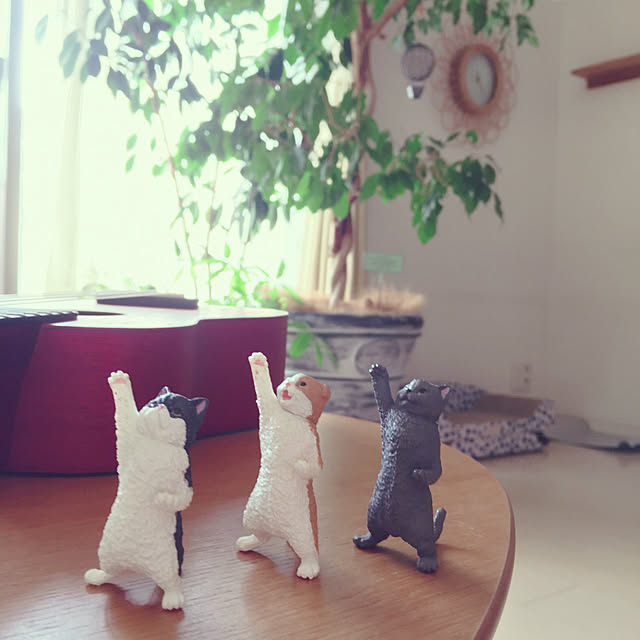 oasisさんの実例写真