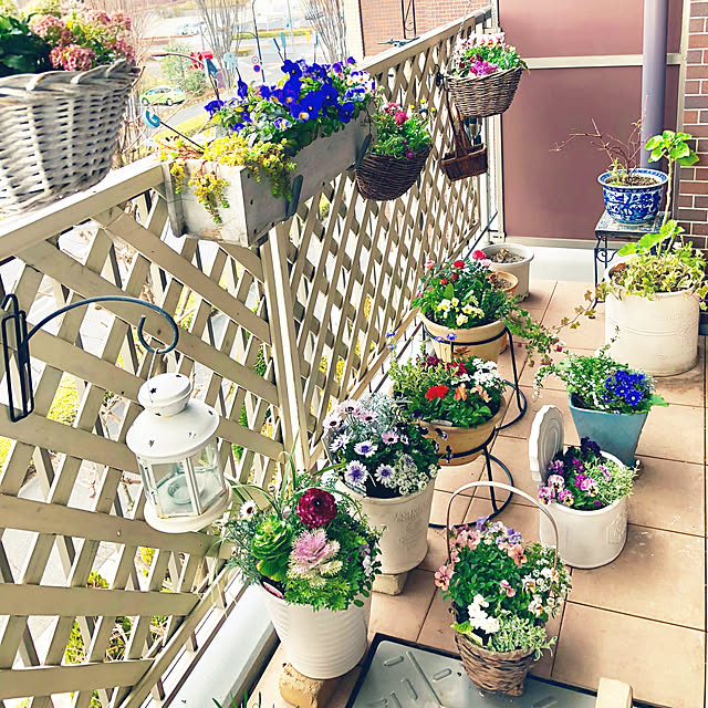 ange.zuzuさんの実例写真