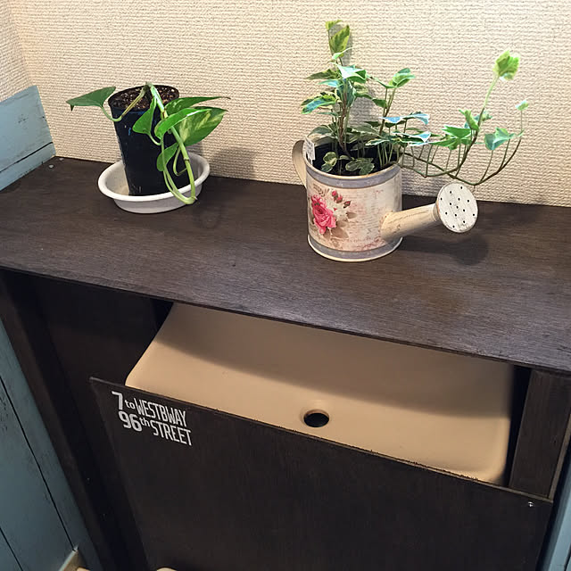 nekoさんの実例写真