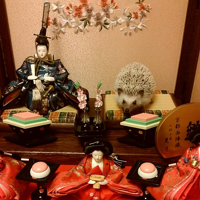 tomominさんの実例写真
