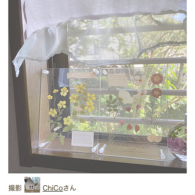 ChiCoさんの実例写真