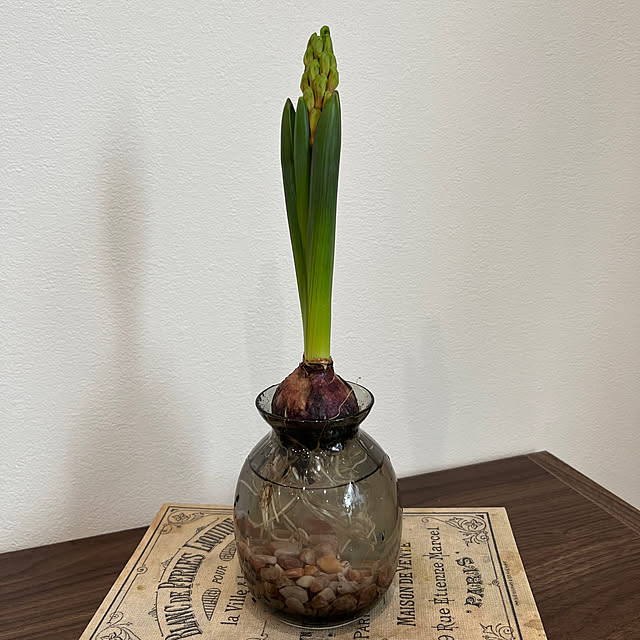 kibuさんの部屋