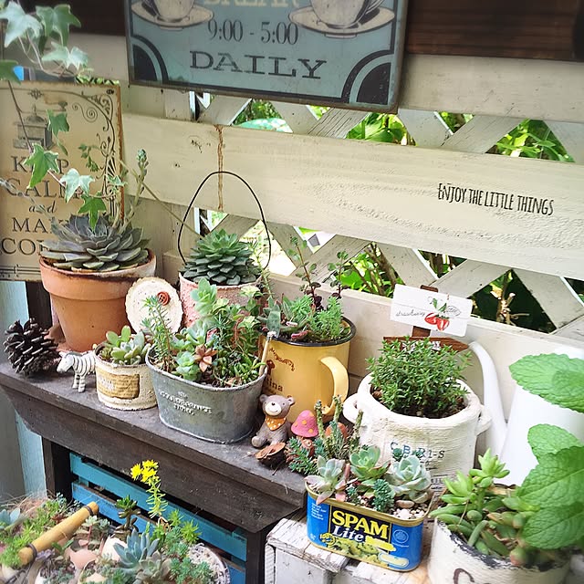 mintさんの実例写真