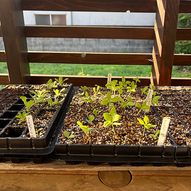 kyoko1124koさんの実例写真