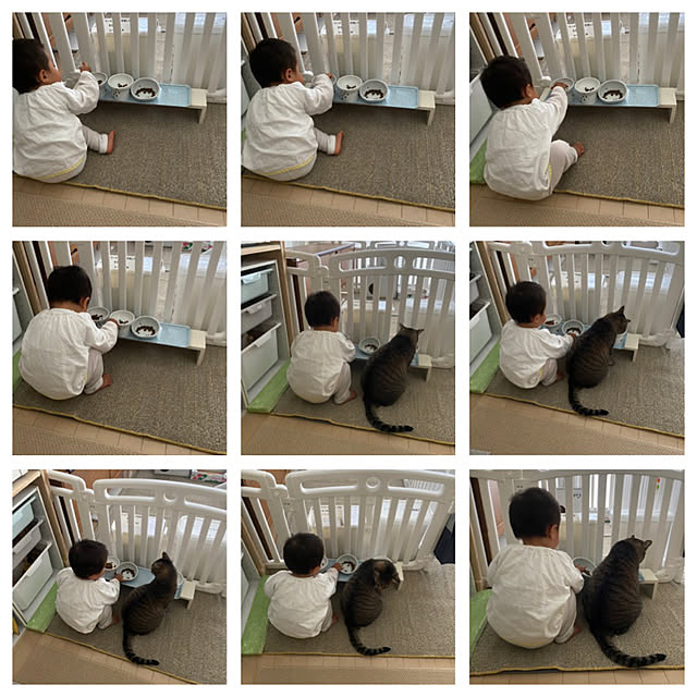 mikomaruさんの実例写真