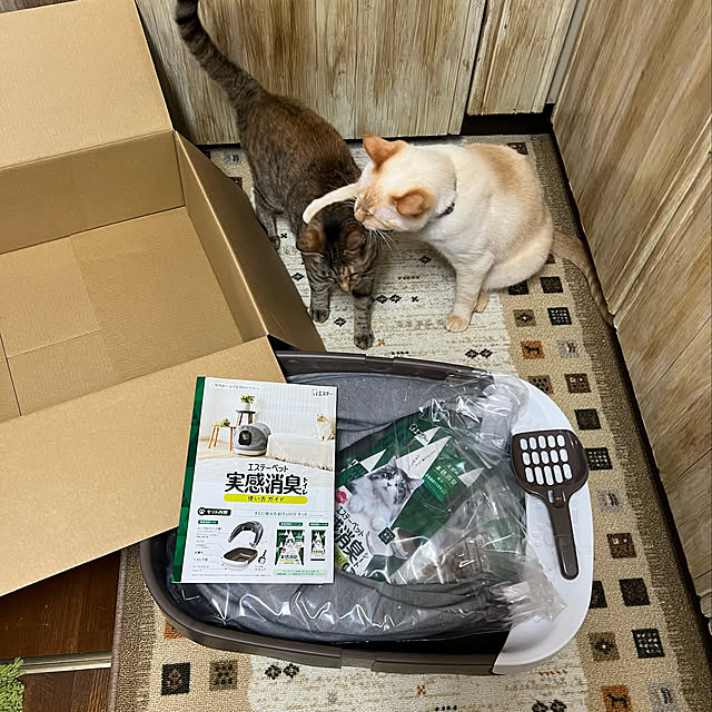 mohhaさんの実例写真