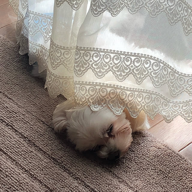 pino1227さんの実例写真