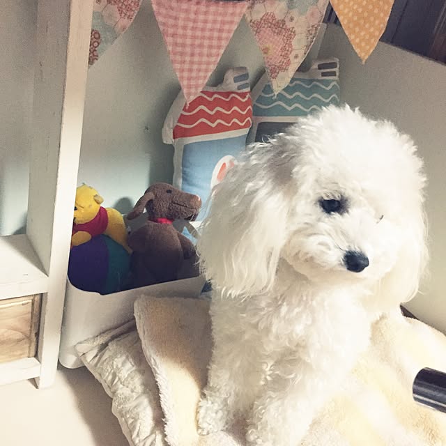 sei.hugさんの実例写真