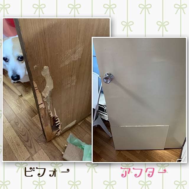 SIROさんの実例写真