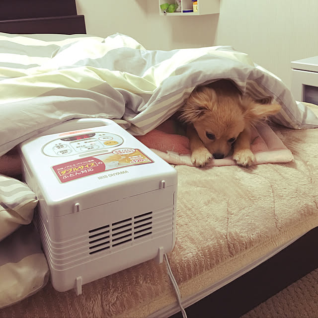eriさんの実例写真
