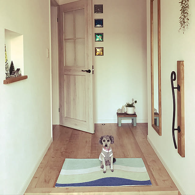 momomamaさんの実例写真