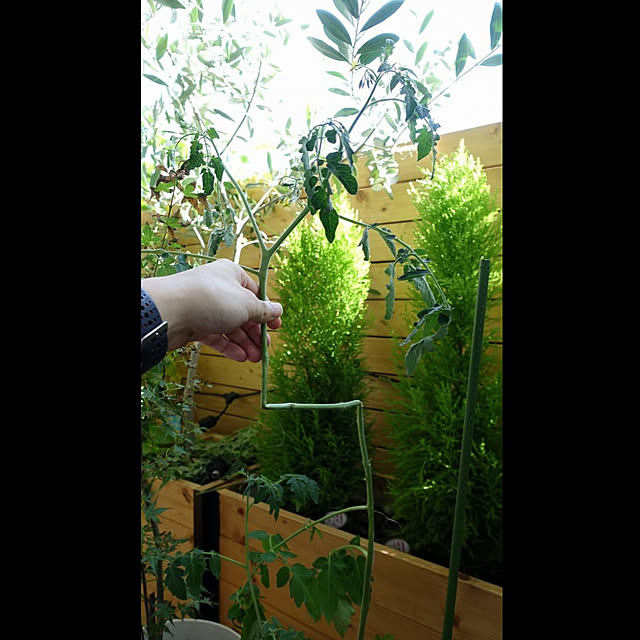 NKGardenさんの実例写真