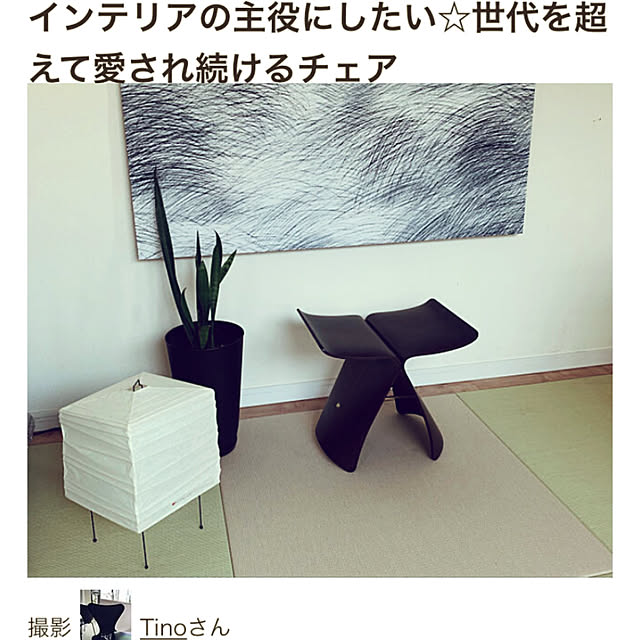 Tinoさんの実例写真