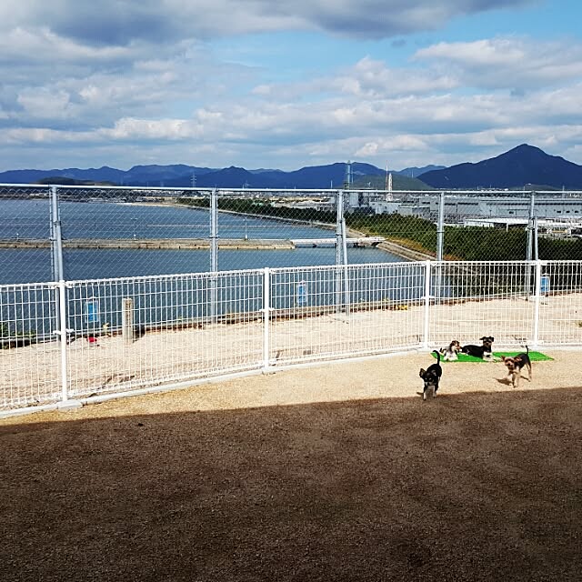 ma_d0_kaさんの実例写真