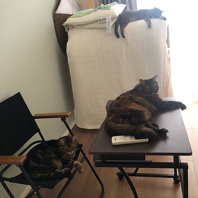 mikomaruさんの実例写真