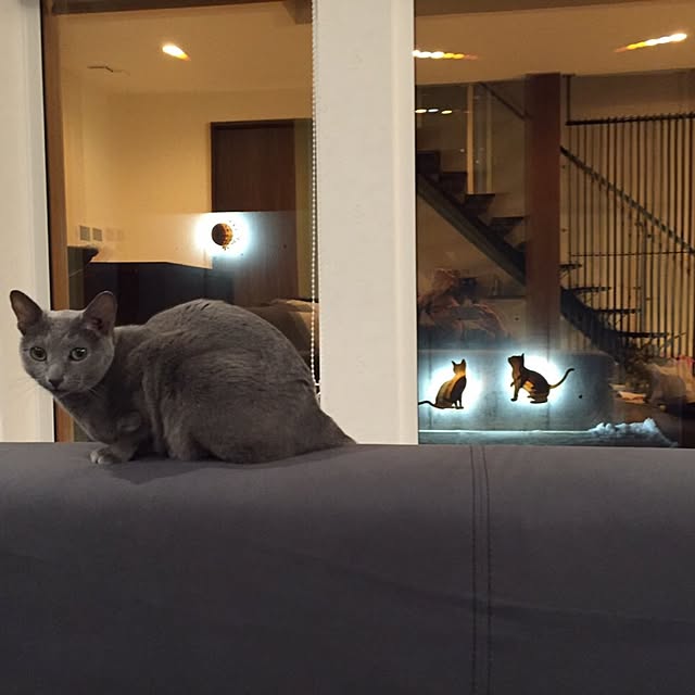 erika.tさんの実例写真