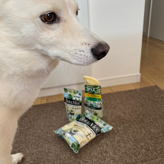 tanboさんの部屋