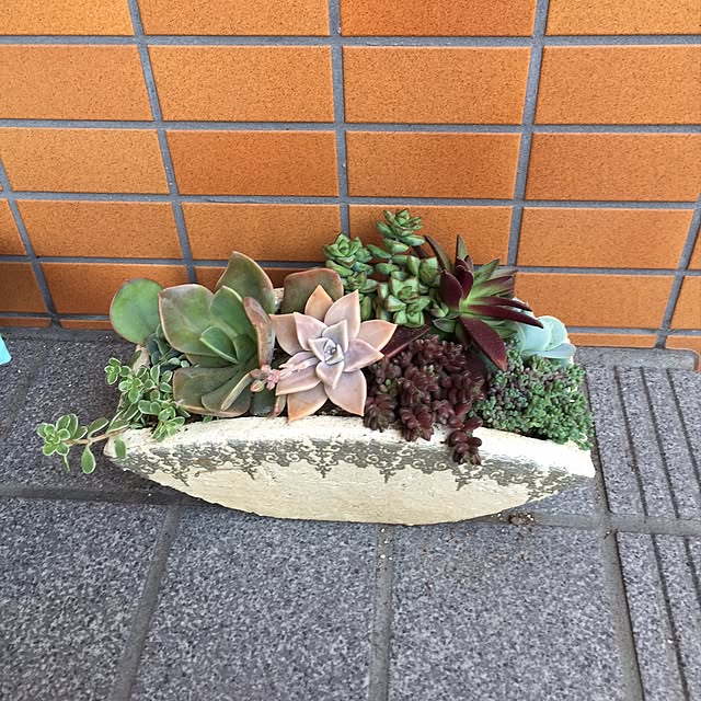 実例写真