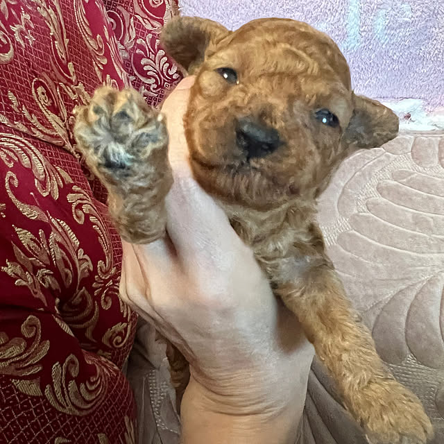 AYUKOさんの部屋