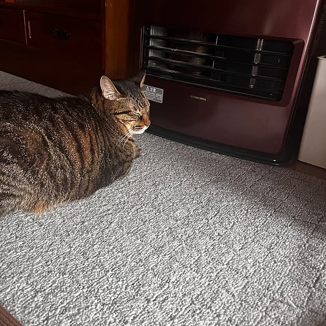 mさんの実例写真
