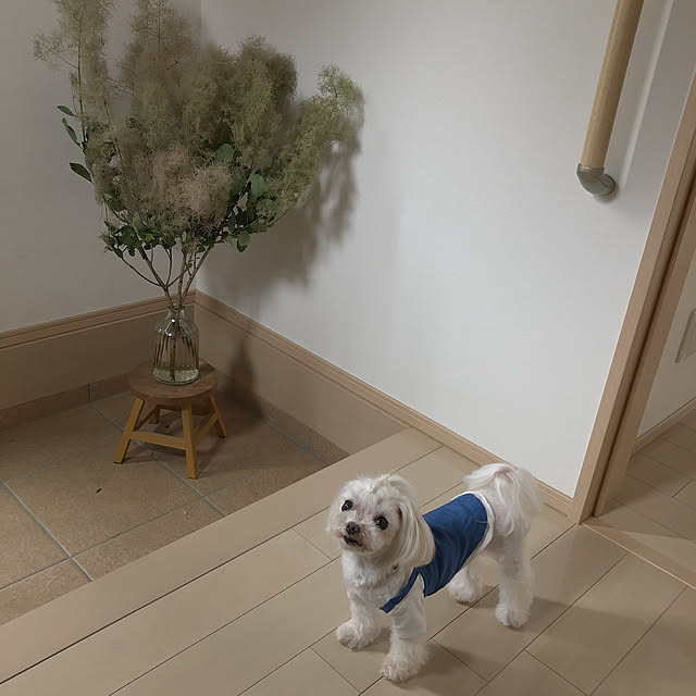 loliontoaliceveさんの実例写真