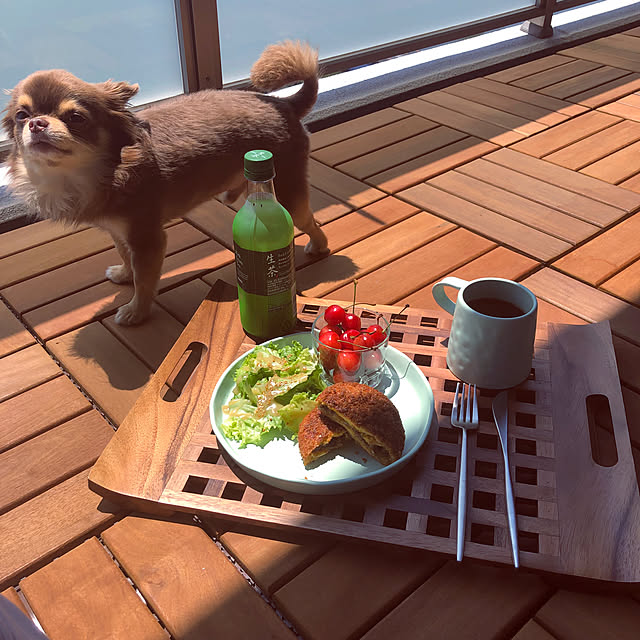 Musashiさんの実例写真