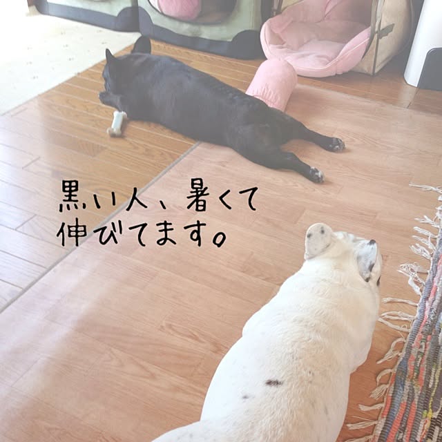 38coreさんの実例写真