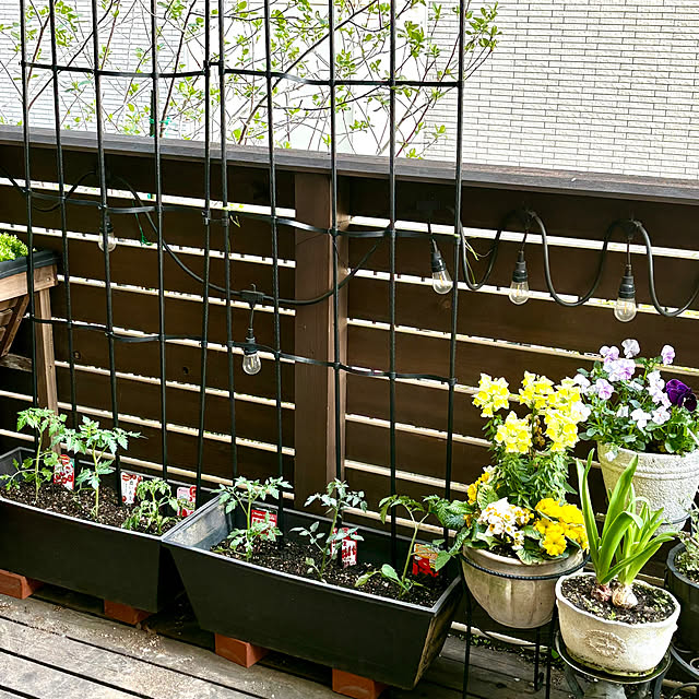 sacchiさんの部屋