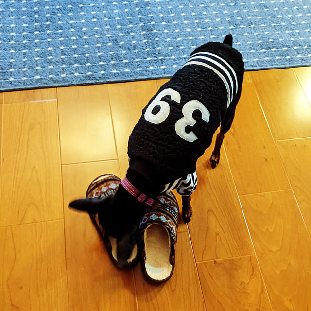 shizuponさんの実例写真