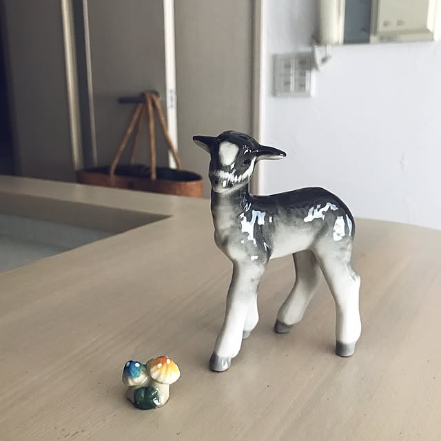 derazouさんの実例写真