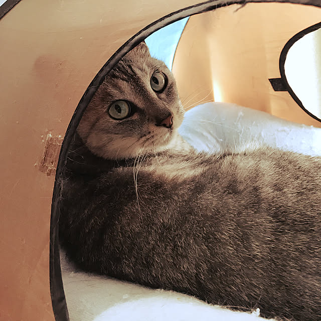 maroさんの実例写真