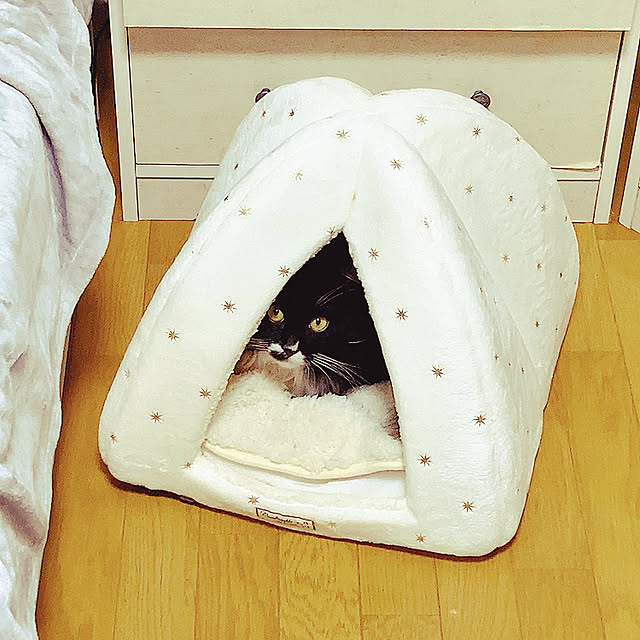 OSRZWさんの実例写真