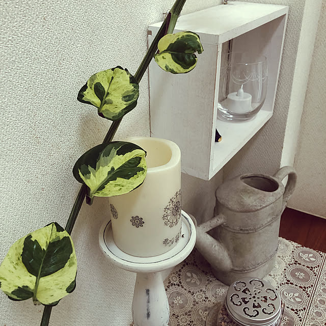 fuwa-mocoさんの実例写真