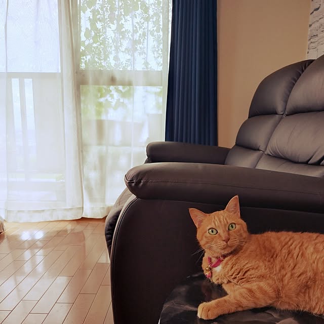 NOAHさんの部屋
