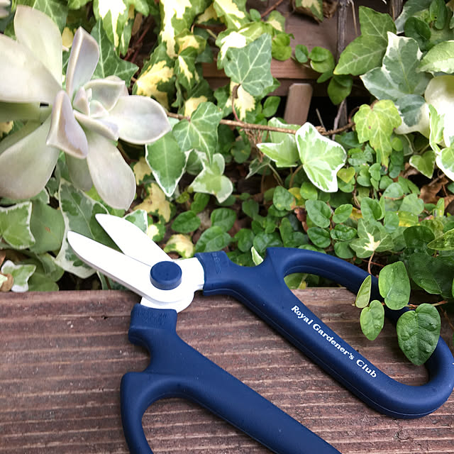 Royal_Gardeners_Clubさんの部屋