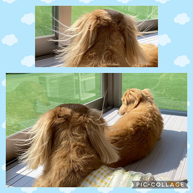 ponponcooさんの実例写真