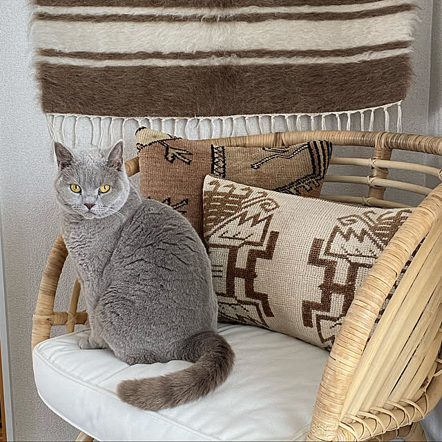 chulashihoさんの実例写真