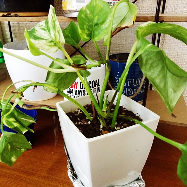 vixx0402さんの実例写真