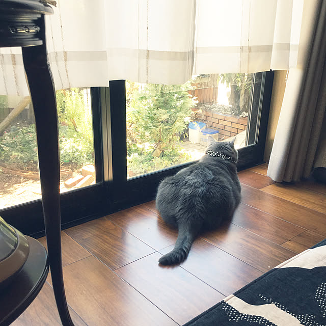 chikaさんの実例写真