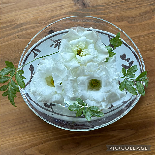 Smilkazuさんの部屋