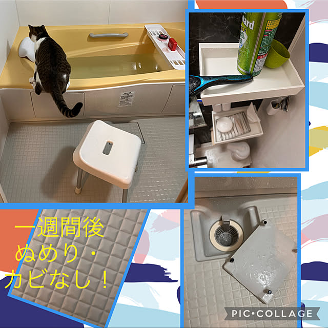 jijiさんの実例写真