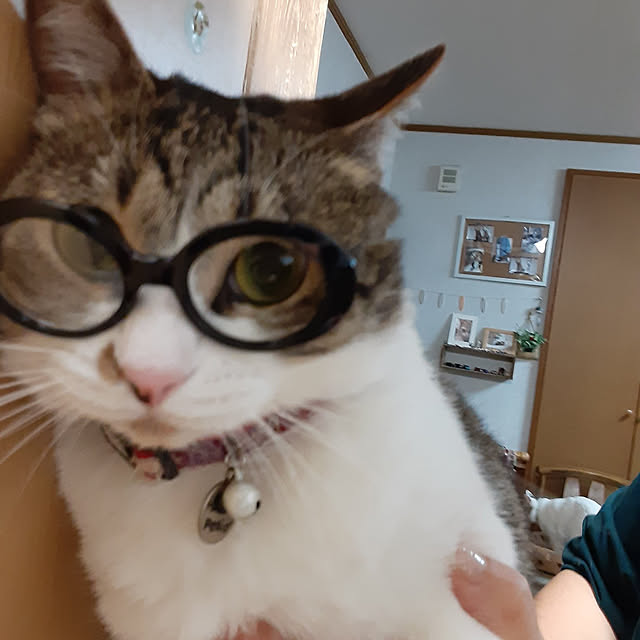 battamanさんの実例写真