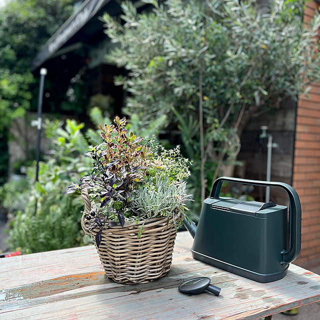 Royal_Gardeners_Clubさんの実例写真