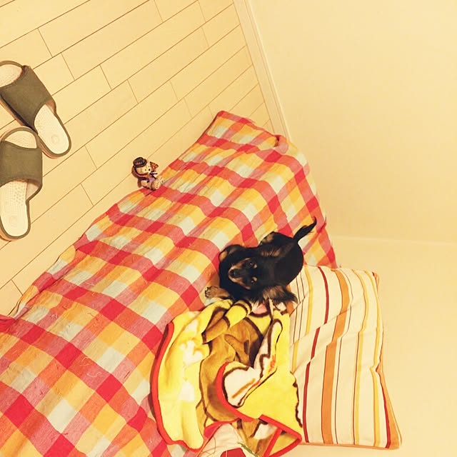 部屋全体のインテリア実例 - 2014-09-12 21:49:42
