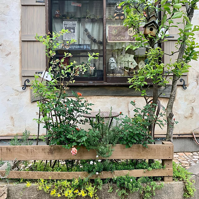 tabasaさんの実例写真
