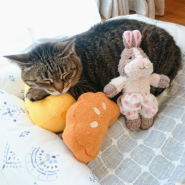 ruuさんの実例写真