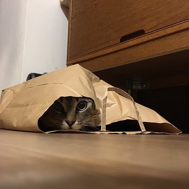 mikomaruさんの実例写真
